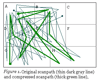 Original scanpath and compressed scanpath